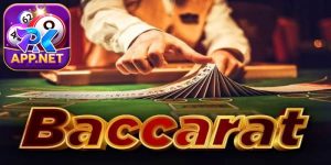 Baccarat DG casino PK